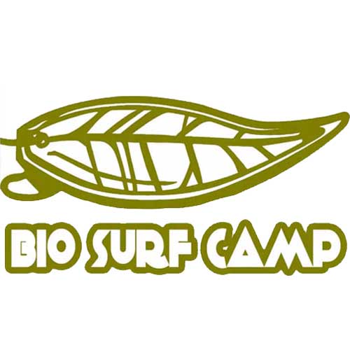 surf_bio_camp